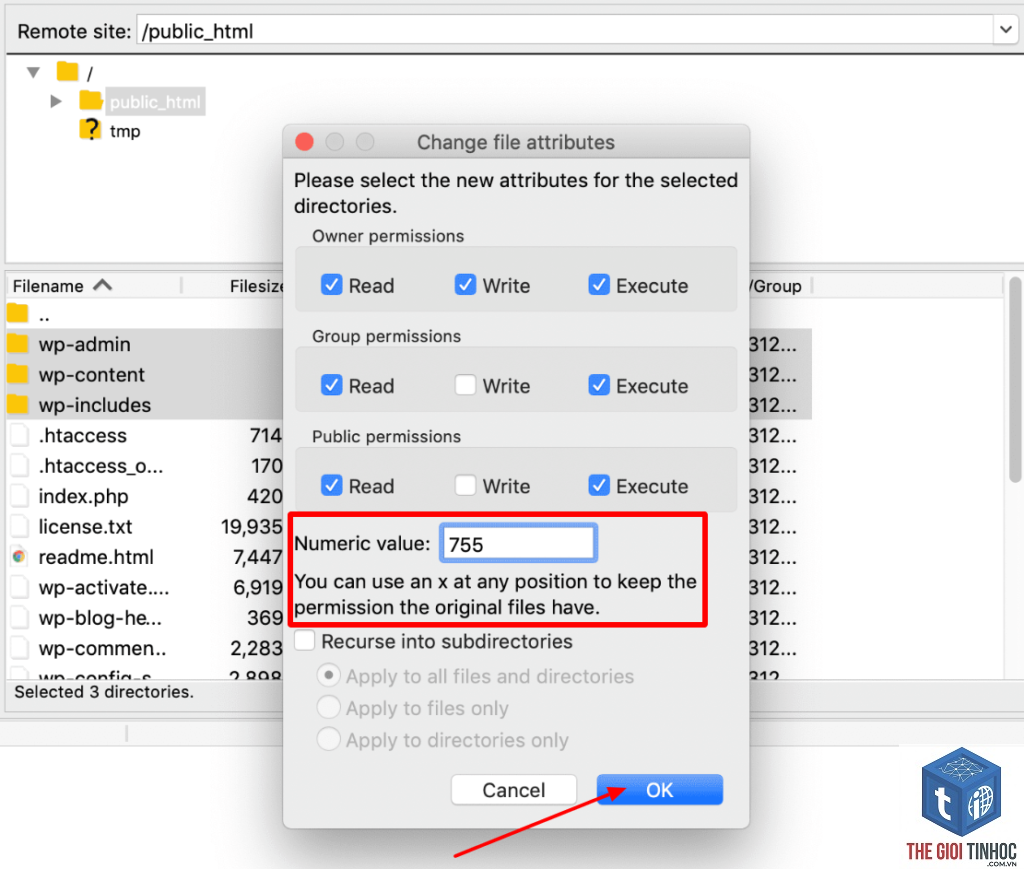 theme wordpress customizer permission error - Hình 2