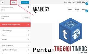 theme wordpress customizer reset