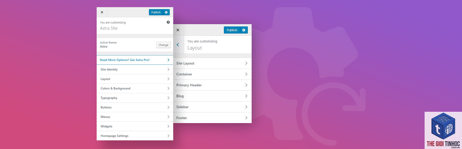 theme wordpress customizer reset - Hình 4