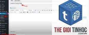 theme wordpress customizer trắng trang