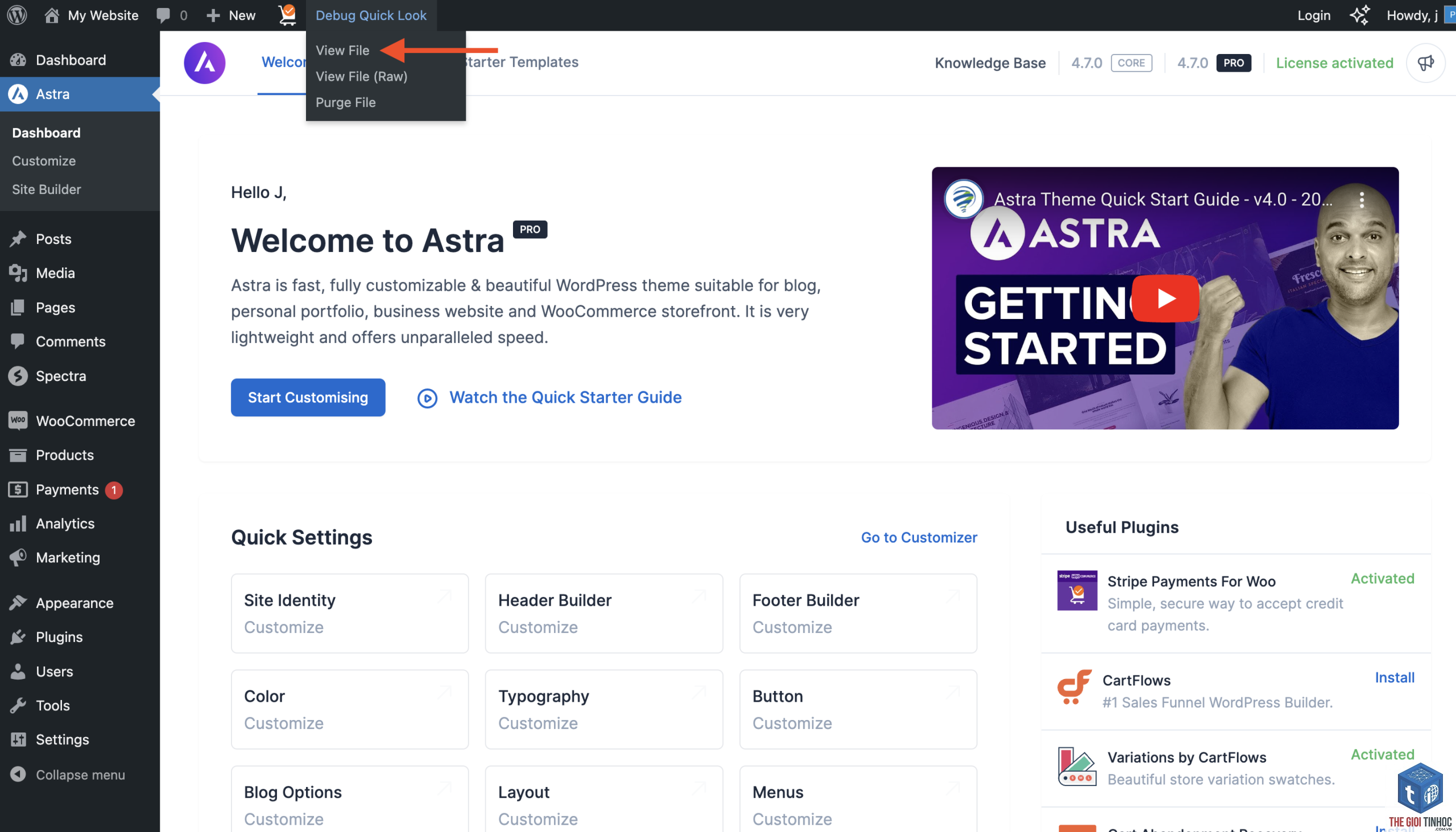 theme wordpress debug - Hình 2