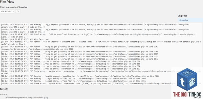theme wordpress debug log