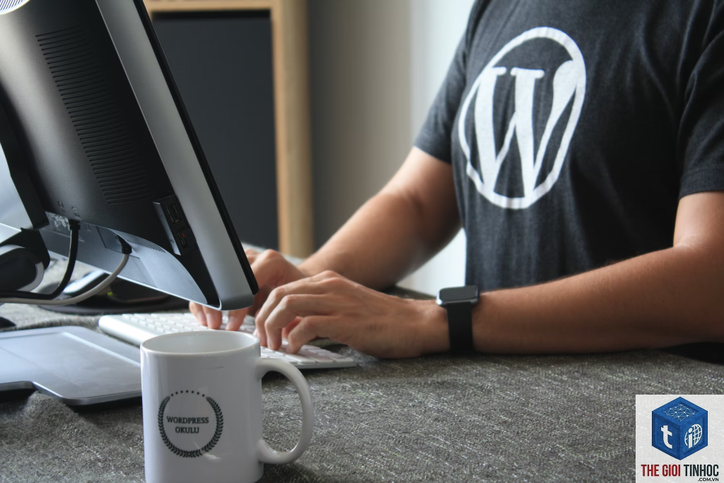 theme wordpress developer là gì - Hình 3