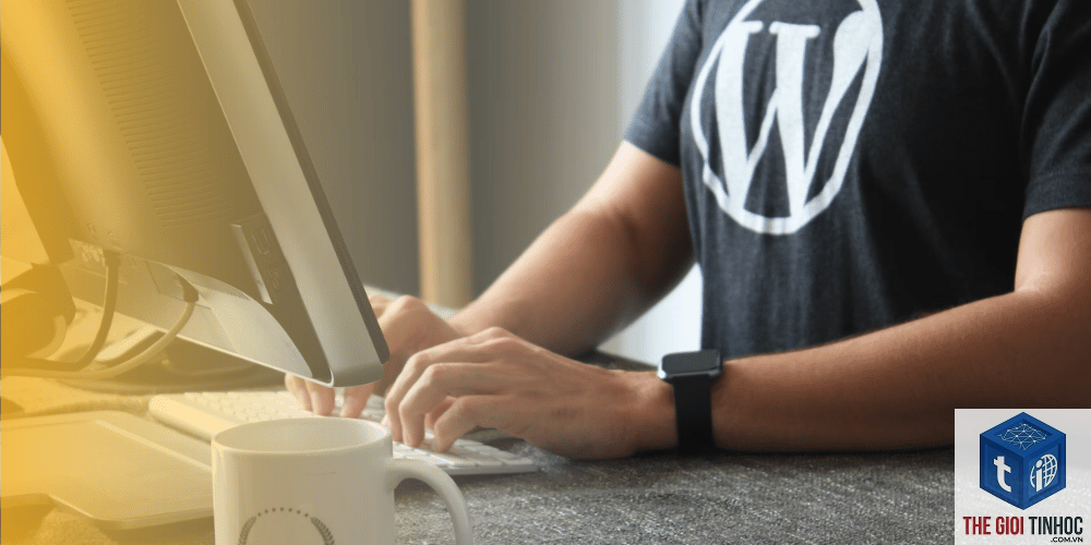 theme wordpress developer là gì - Hình 5