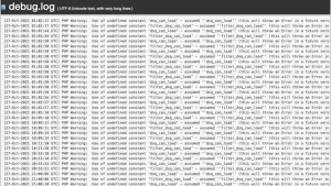 theme wordpress error log
