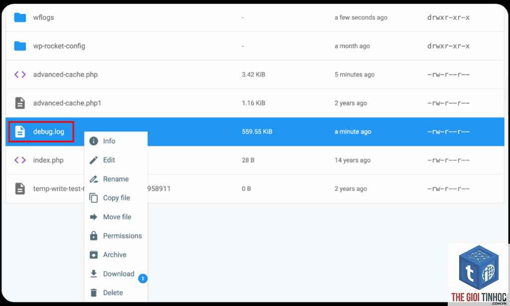 theme wordpress error log - Hình 4