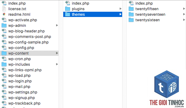 theme wordpress folder structure là gì