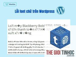 theme wordpress font lỗi