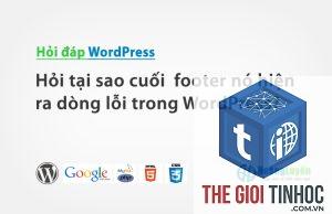 theme wordpress footer lỗi