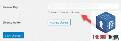 theme wordpress license invalid - Hình 3