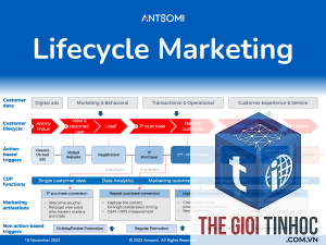 theme wordpress lifecycle là gì