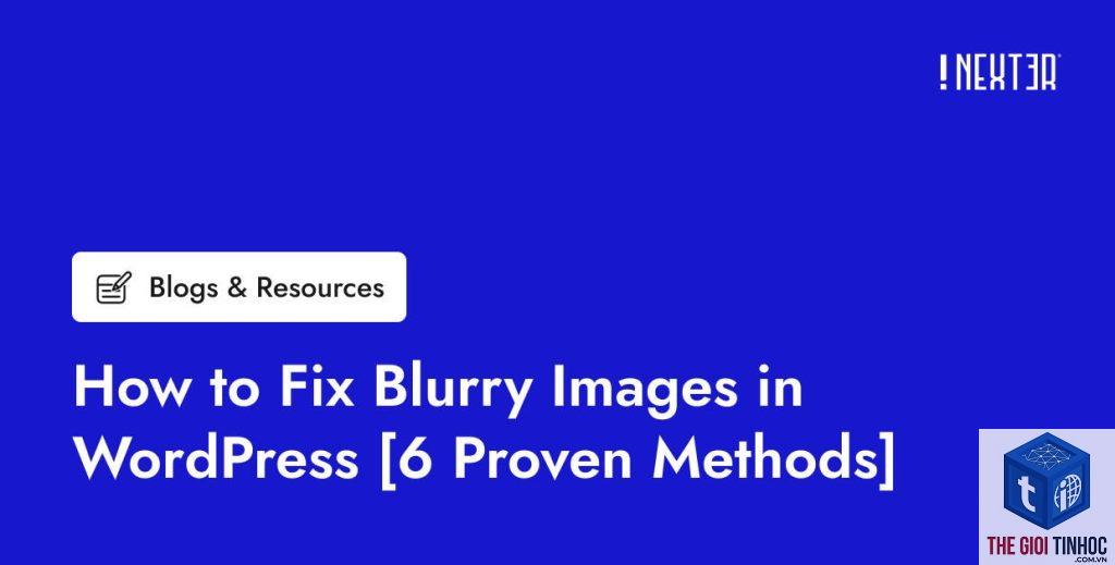 theme wordpress logo bị mờ