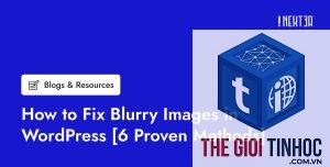 theme wordpress logo bị mờ