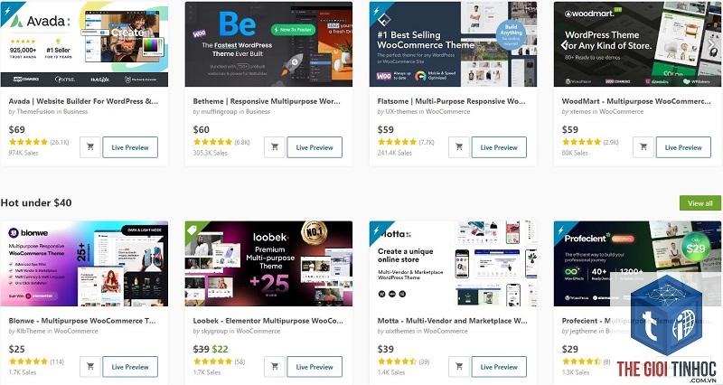 theme wordpress marketplace là gì