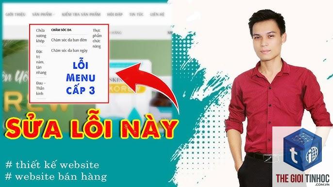 theme wordpress mega menu lỗi