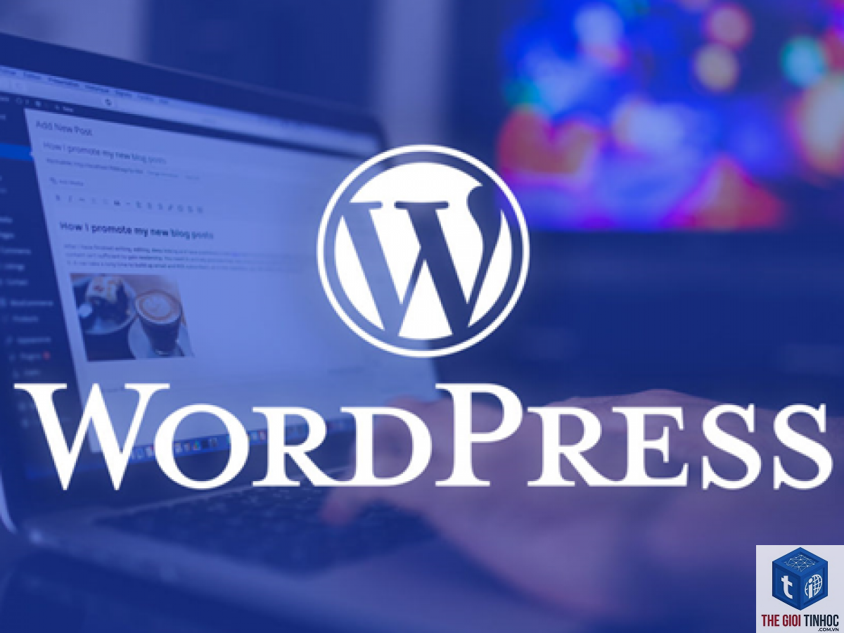 theme wordpress miễn phí là gì - Hình 4