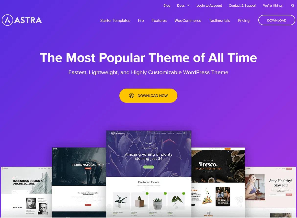 theme wordpress portfolio là gì - Hình 4