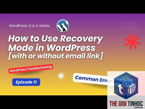 theme wordpress recovery mode - Hình 4