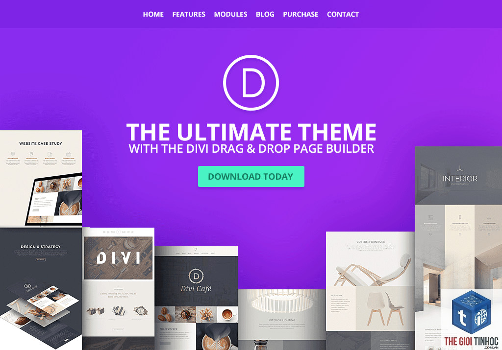 theme wordpress render chậm - Hình 4