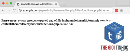 theme wordpress script error - Hình 3
