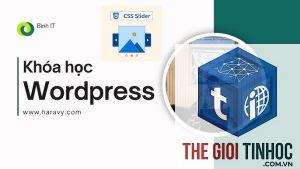 theme wordpress slider lỗi