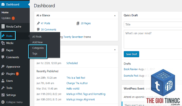theme wordpress taxonomy query lỗi - Hình 5