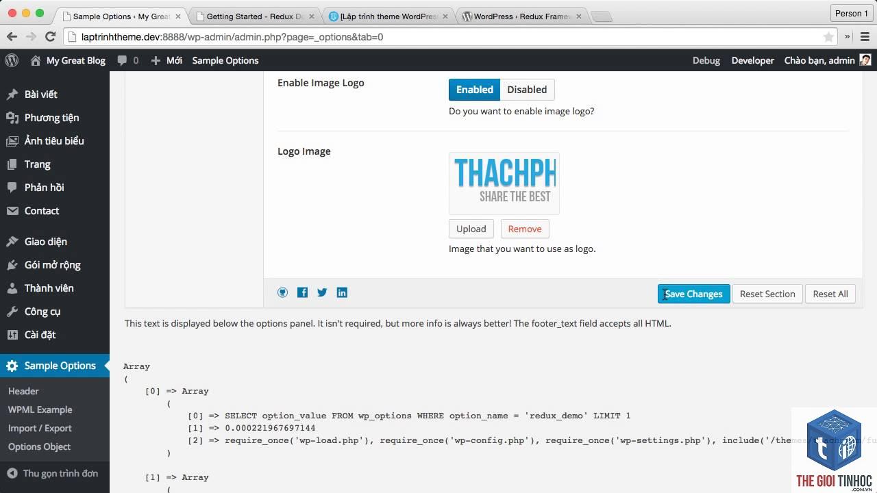 theme wordpress theme options là gì - Hình 4