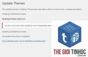 theme wordpress theme update license lỗi