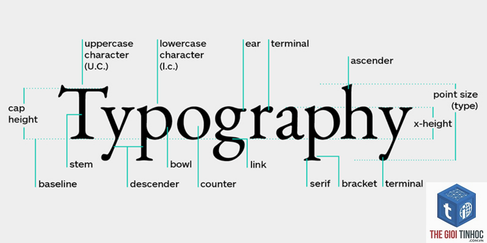 theme wordpress typography là gì