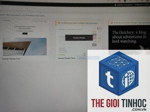 theme wordpress uninstall error