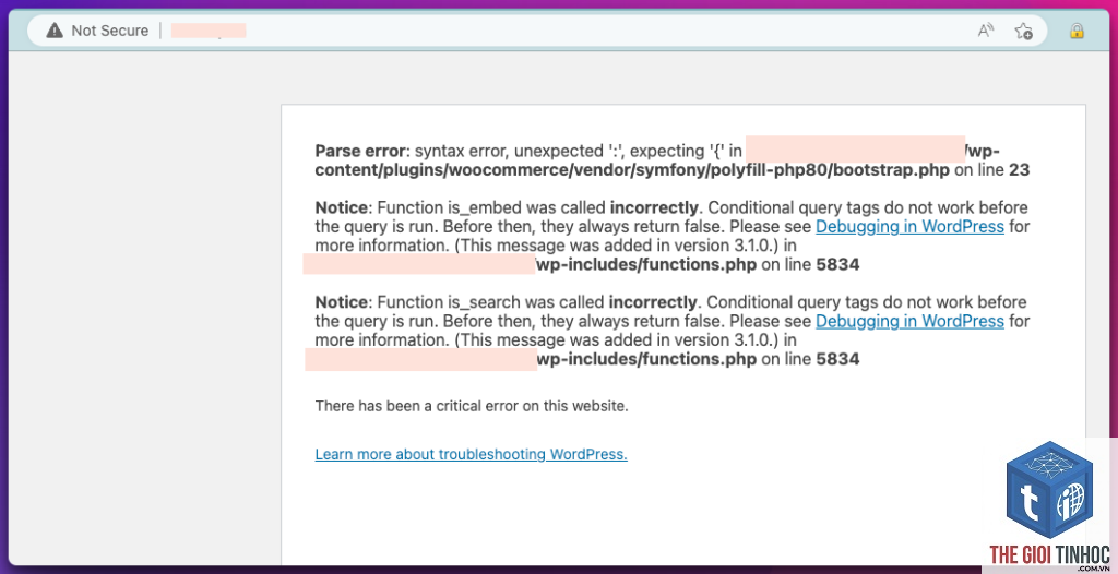 theme wordpress wp_query lỗi - Hình 3