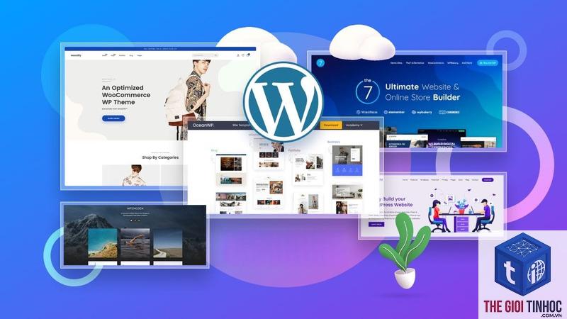theme wordpress xung đột ssl - Hình 3