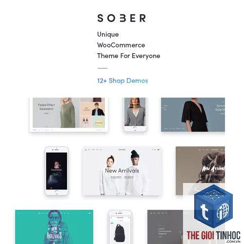theme wordpress xung đột woocommerce - Hình 5