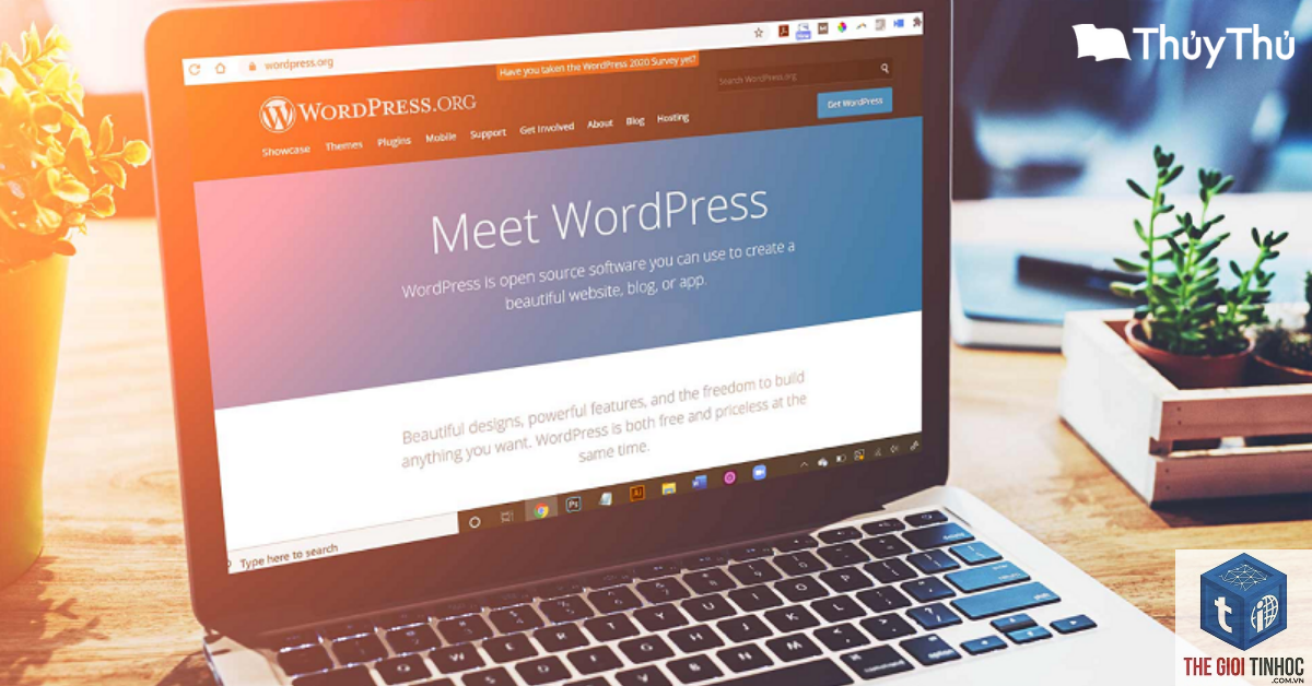 thiết lập mô tả website wordpress - Hình 5