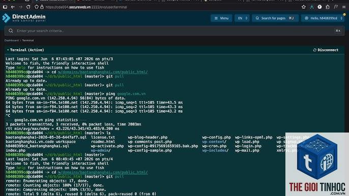 thời gian phản hồi wordpress - Hình 4
