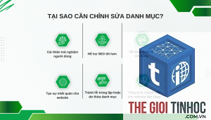 tổ chức danh mục wordpress