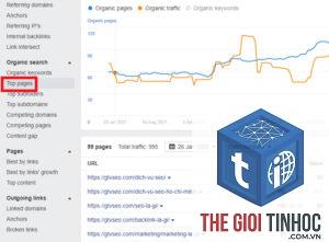 top pages trong ahrefs là gì - Hình 5