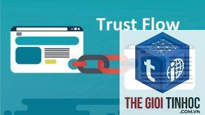 trust flow là gì