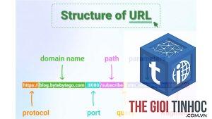 url structure analysis là gì