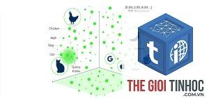 vector embedding là gì