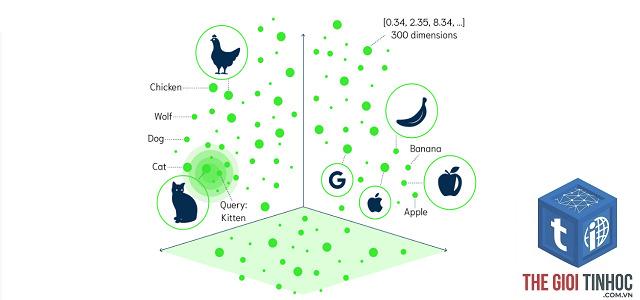 vector embedding là gì