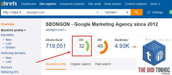 video results là gì trong ahrefs - Hình 3