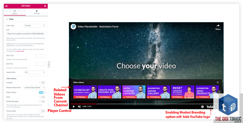 video widget elementor