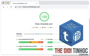 website optimization wordpress