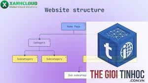 website structure là gì