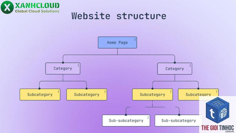 website structure là gì