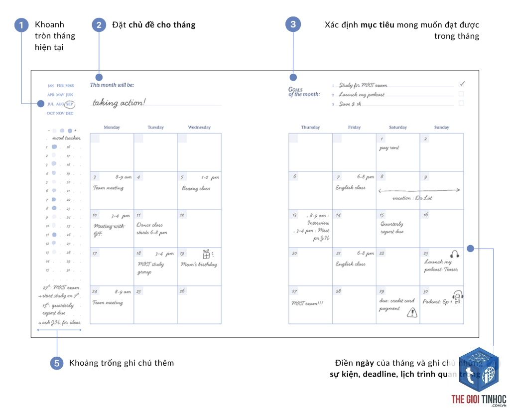 weekly tracking là gì