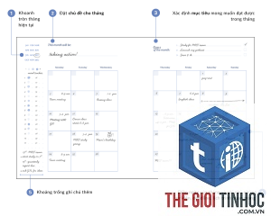 weekly tracking là gì