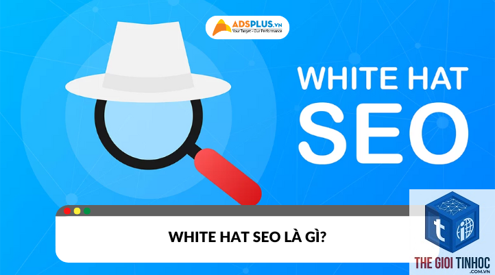 white hat link building là gì - Hình 2