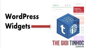 widget wordpress là gì